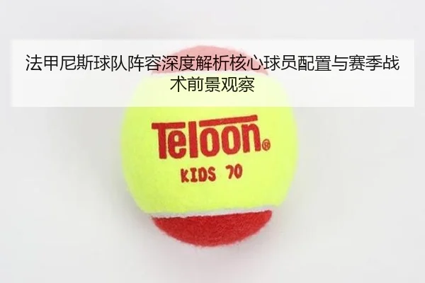 法甲尼斯球队阵容深度解析核心球员配置与赛季战术前景观察