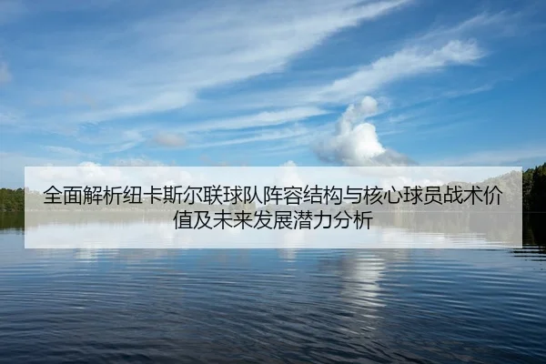 全面解析纽卡斯尔联球队阵容结构与核心球员战术价值及未来发展潜力分析
