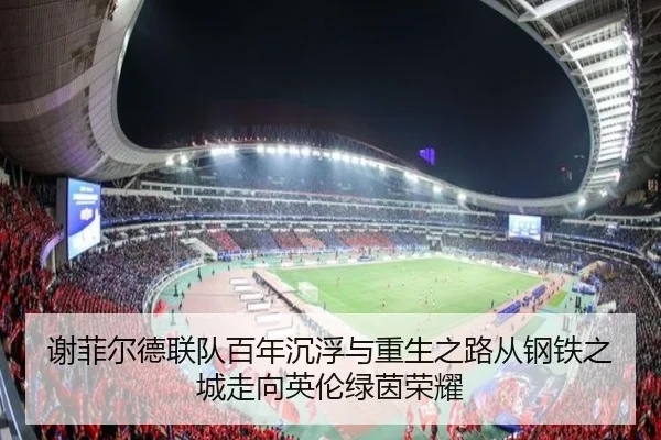 谢菲尔德联队百年沉浮与重生之路从钢铁之城走向英伦绿茵荣耀